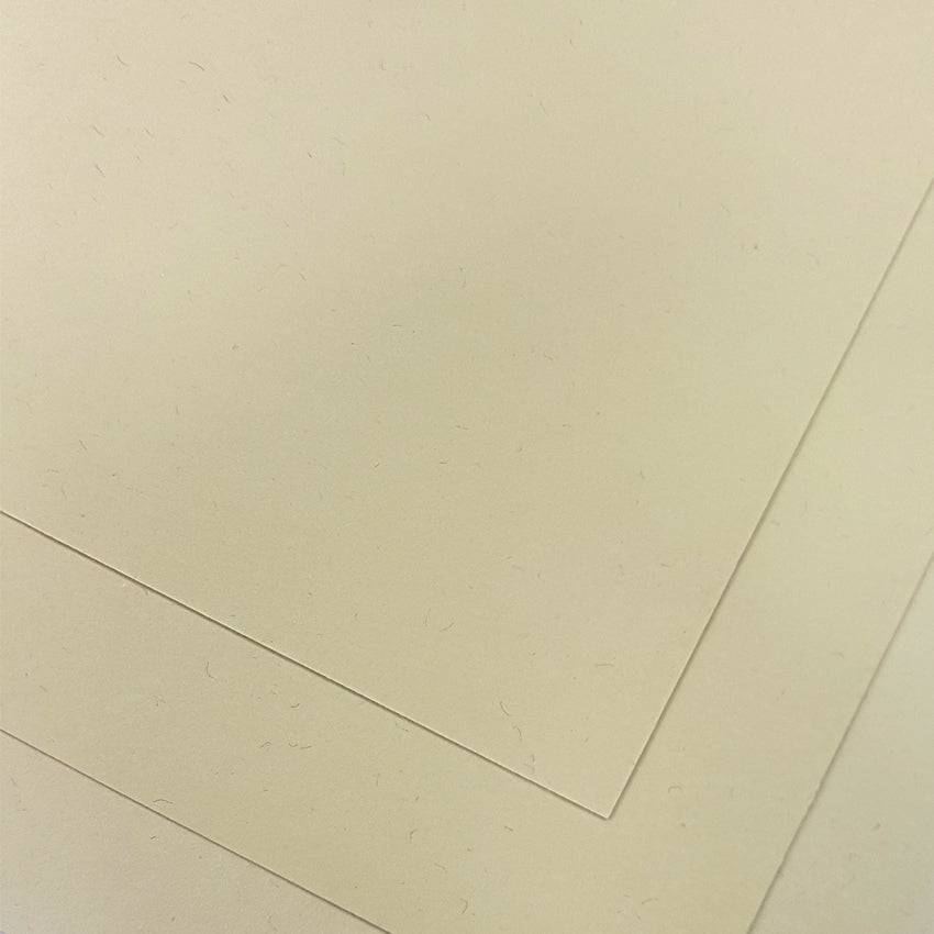 Magnani : Annigoni Beige Toned Watercolour Paper : 250gsm : 50x70cm : 10 Sheets